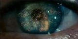 L'oeil sur 2025 - 33 morceaux préférés (par Rabbit)