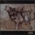 John Sarastro - Coyotes
