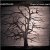 iLiKETRAiNS