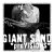 Giant Sand