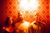 Du Bowerbirds dans l'air