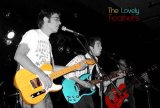 The Lovely Feathers : des plumes qui volent