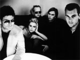 15 ans de Cardigans