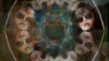 Un jour nouveau pour The Nocturnes