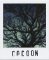 Cocoon