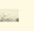 Wild Nothing