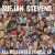 Sufjan Stevens