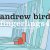 Andrew Bird