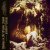Wolves In The Throne Room