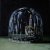 The Caretaker