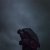 Baths