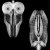 The Skull Defekts