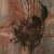 Avey Tare's Slasher Flicks