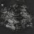 Nereus