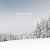 Random Forest