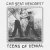 Car Seat Headrest
