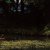 Rhucle