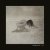 Penelope Trappes