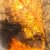 Inter Arma
