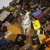 Tokyo Shoegazer