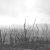 Scorched Earth Policy Lab