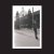 Irreversible Entanglements