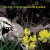 Hawksley Workman