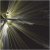 Son Lux