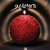 Guillemots 