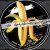The Dandy Warhols
