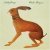Vashti Bunyan