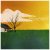 John Vanderslice