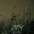 Austere