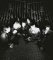 The Black Angels