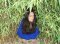 Momoko Gill