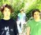 The Wombats